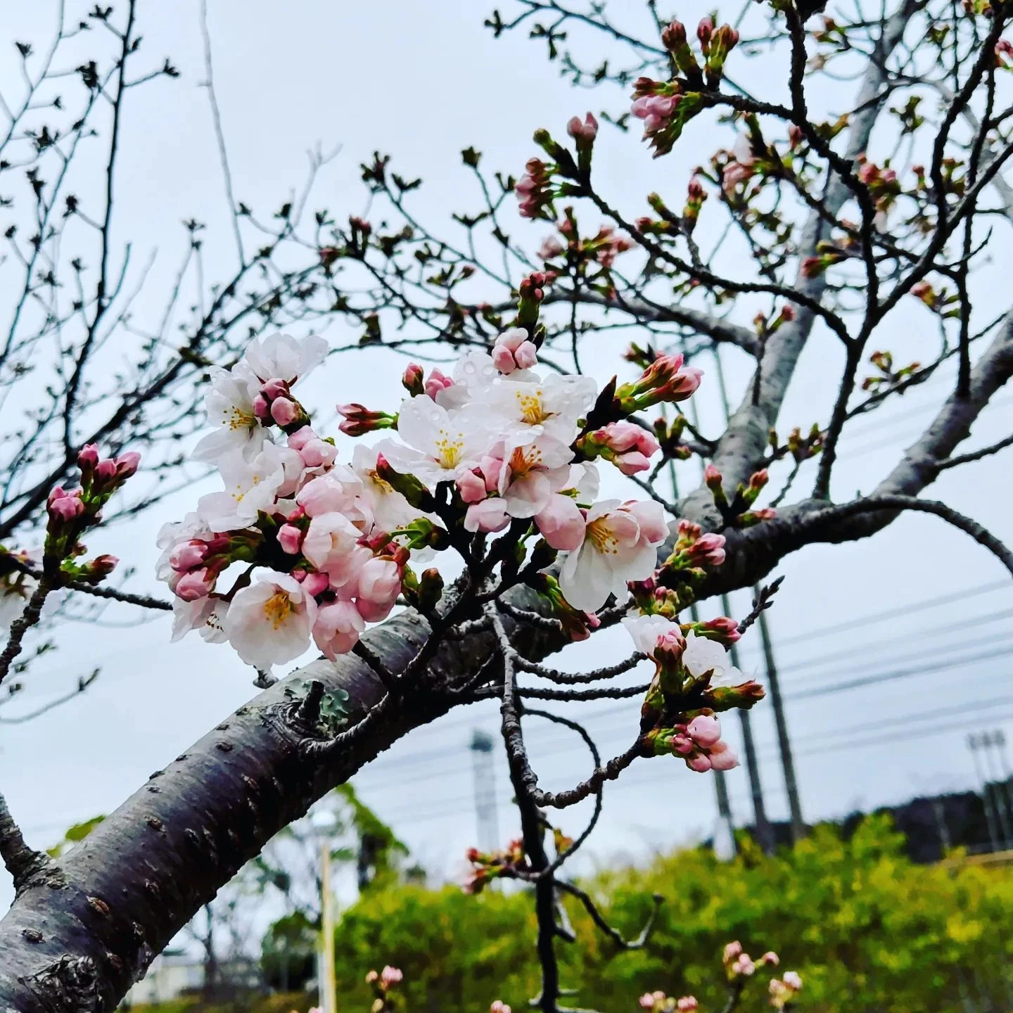 インスタグラム公開しました